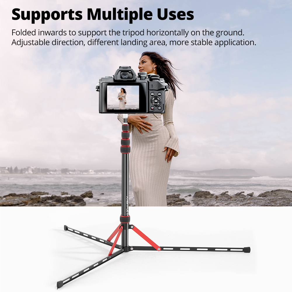 Ambitful GM220 Fotobeleuchtung – Photography Basics Bewertung und Preis